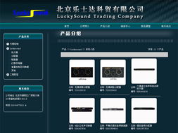 数字四方 北京网站建设公司的9年品牌之路